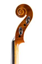 Limited Edition Violins