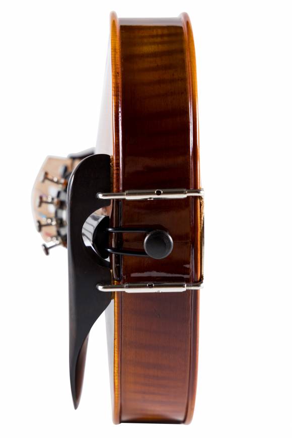 Limited Edition Violins