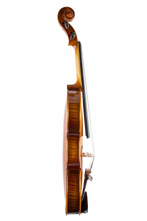Limited Edition Violins