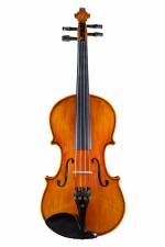 E Series & 6 Series Professional Violas