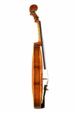 E Series & 6 Series Professional Violas