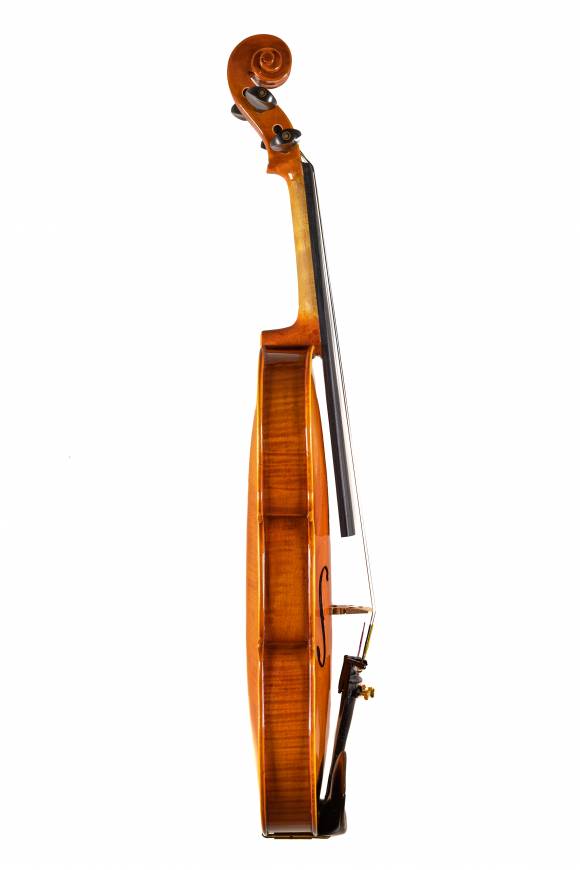 E Series & 6 Series Professional Violas