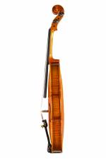 E Series & 6 Series Professional Violas