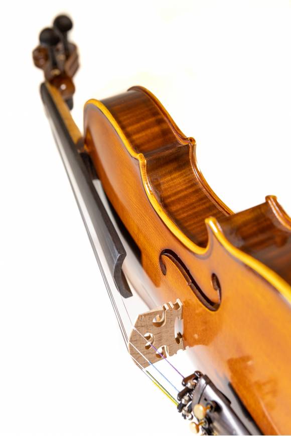 Violin Series