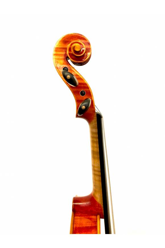 Violin Series
