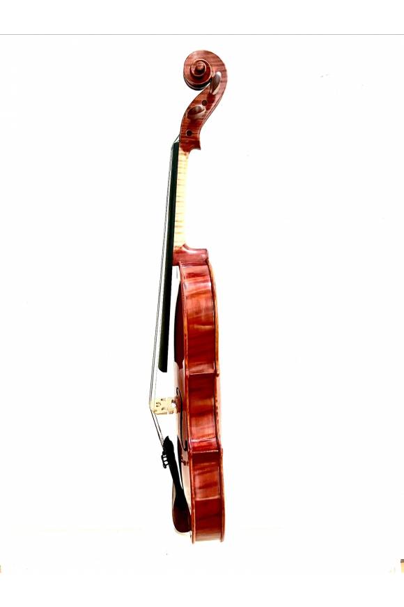 European Instruments